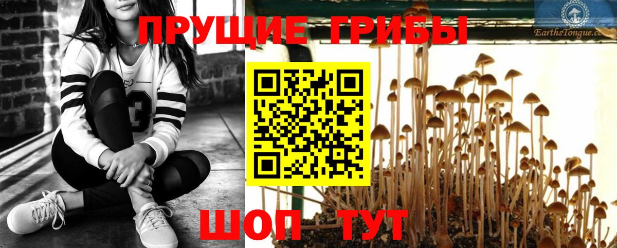 Галлюциногенные грибы Magic Shrooms  Псилоцибиновые грибы MAGIC MUSHROOMS  как найти наркотики  Вход с VPN  Кольчугино 
