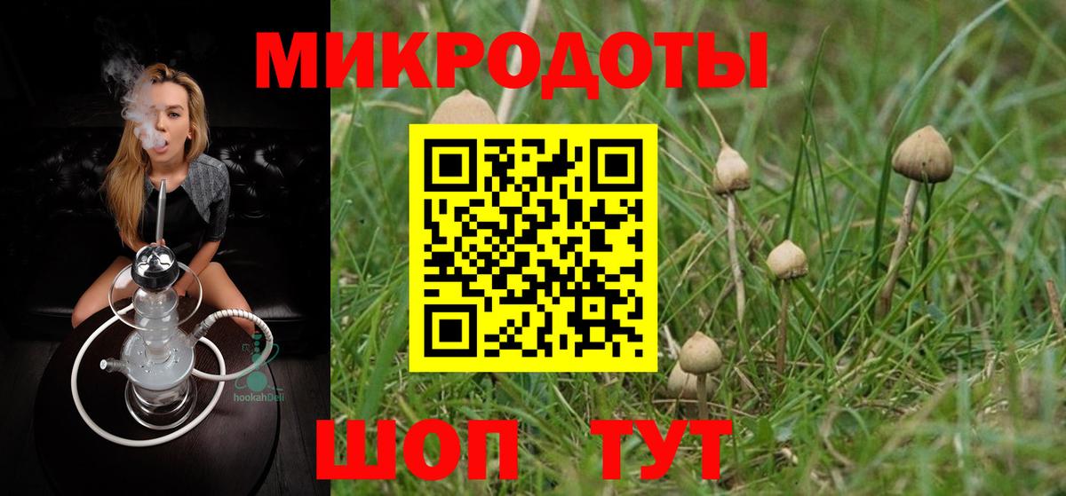 Галлюциногенные грибы мухоморы Кольчугино